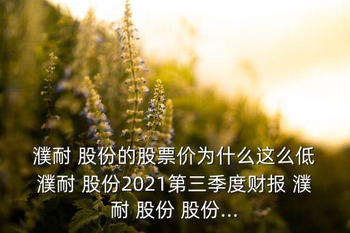 濮耐股份投資報告