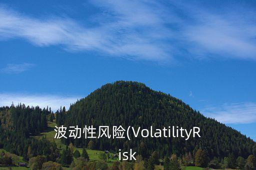 波動性風(fēng)險(xiǎn)(VolatilityRisk