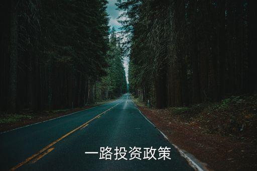 一帶一路投資政策