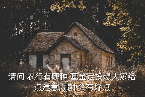 請問 農(nóng)行有哪種 基金定投想大家給點建意,哪種會有好點