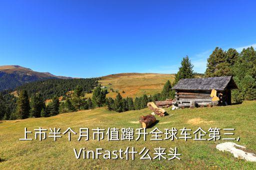  上市半個(gè)月市值躥升全球車企第三,VinFast什么來頭