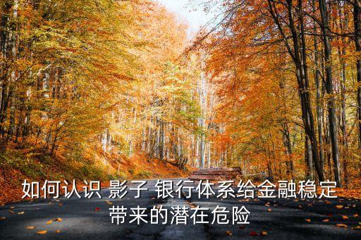 如何認(rèn)識(shí) 影子 銀行體系給金融穩(wěn)定帶來(lái)的潛在危險(xiǎn)