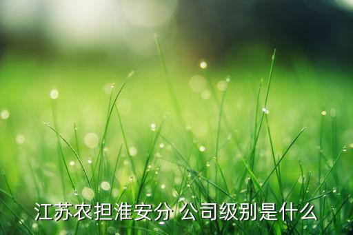 江蘇農(nóng)擔(dān)淮安分 公司級(jí)別是什么