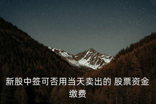 新股中簽可否用當(dāng)天賣出的 股票資金繳費(fèi)