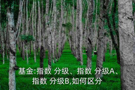  基金:指數(shù) 分級、指數(shù) 分級A、指數(shù) 分級B,如何區(qū)分