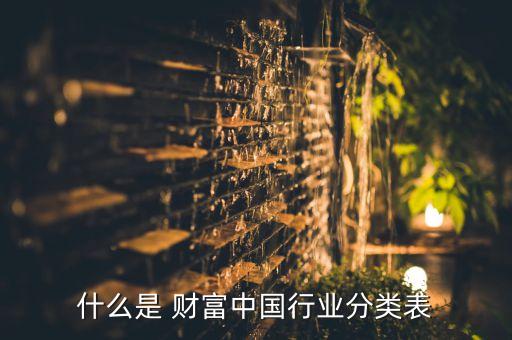 什么是 財(cái)富中國(guó)行業(yè)分類表