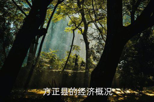  方正縣的經濟概況