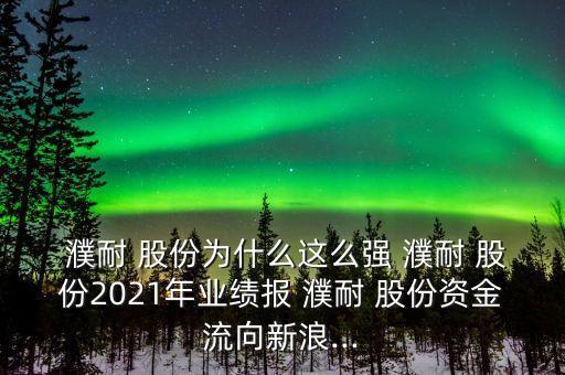  濮耐 股份為什么這么強 濮耐 股份2021年業(yè)績報 濮耐 股份資金流向新浪...