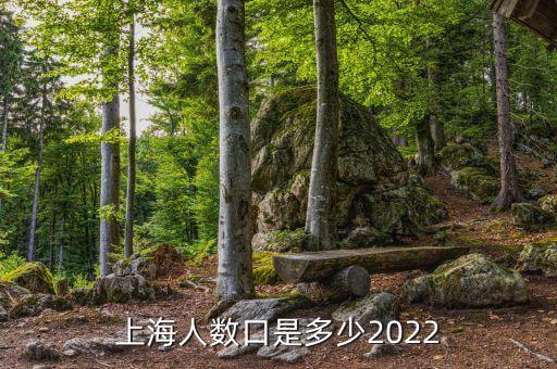 上海人數口是多少2022