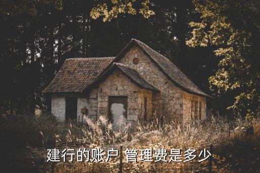 建行的賬戶 管理費(fèi)是多少