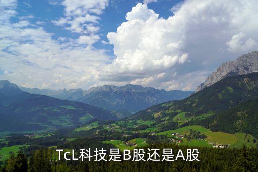 TcL科技是B股還是A股