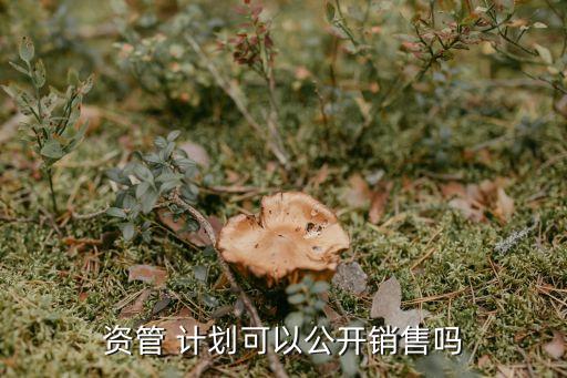 資管 計劃可以公開銷售嗎