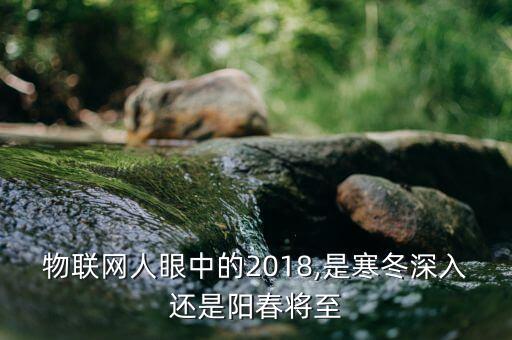 物聯(lián)網(wǎng)人眼中的2018,是寒冬深入還是陽春將至