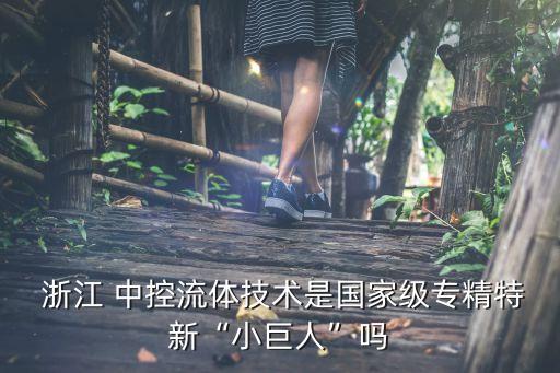 浙江中控集團審計報告