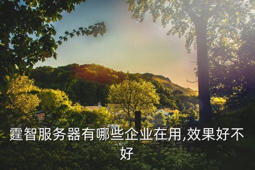 霆智服務(wù)器有哪些企業(yè)在用,效果好不好