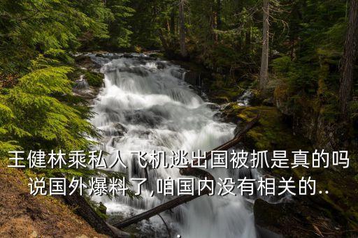 王健林乘私人飛機逃出國被抓是真的嗎說國外爆料了,咱國內沒有相關的...