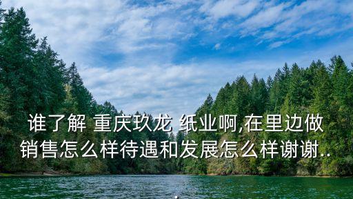 誰(shuí)了解 重慶玖龍 紙業(yè)啊,在里邊做銷售怎么樣待遇和發(fā)展怎么樣謝謝...