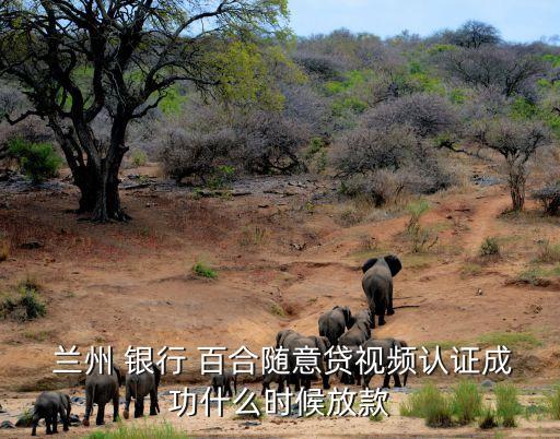  蘭州 銀行 百合隨意貸視頻認(rèn)證成功什么時(shí)候放款