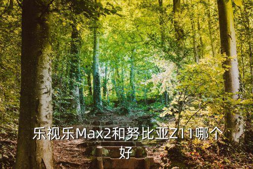  樂視樂Max2和努比亞Z11哪個好