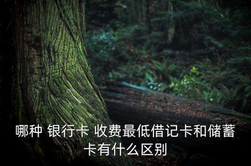 哪種 銀行卡 收費(fèi)最低借記卡和儲(chǔ)蓄卡有什么區(qū)別