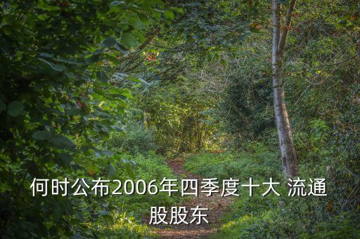 何時公布2006年四季度十大 流通股股東