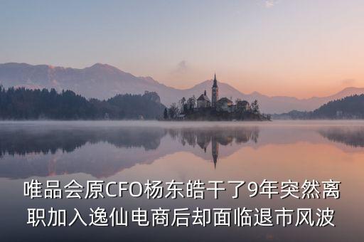 唯品會原CFO楊東皓干了9年突然離職加入逸仙電商后卻面臨退市風波