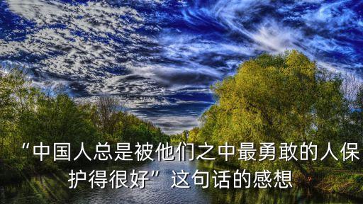 “中國(guó)人總是被他們之中最勇敢的人保護(hù)得很好”這句話的感想