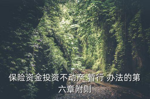 保險資金境外投資管理暫行辦法實(shí)施細(xì)則,制定保險資金境外投資管理政策