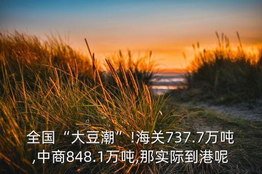 全國“大豆潮”!海關737.7萬噸,中商848.1萬噸,那實際到港呢