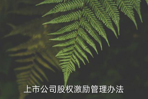 上市公司股權(quán)激勵管理辦法