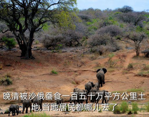 晚清被沙俄蠶食一百五十萬平方公里土地,當(dāng)?shù)鼐用穸寄膬喝チ? class=