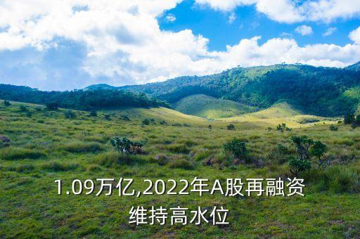 1.09萬億,2022年A股再融資維持高水位