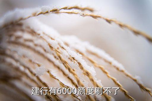 建行有6000額度刷不了