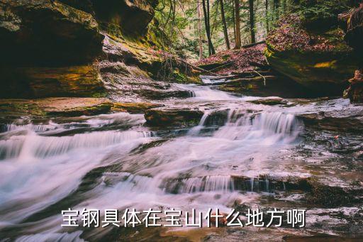  寶鋼具體在寶山什么地方啊