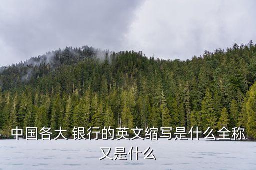 中國各大 銀行的英文縮寫是什么全稱又是什么