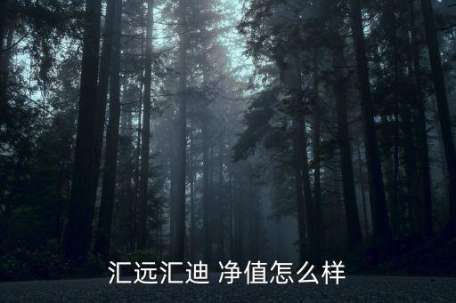 匯遠匯迪 凈值怎么樣