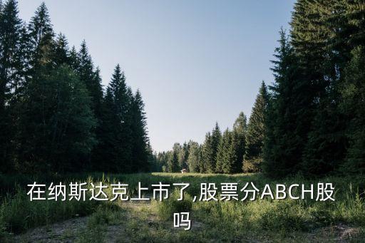 在納斯達(dá)克上市了,股票分ABCH股嗎