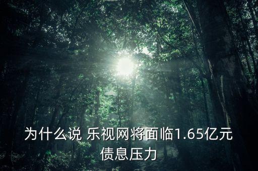 為什么說 樂視網(wǎng)將面臨1.65億元債息壓力