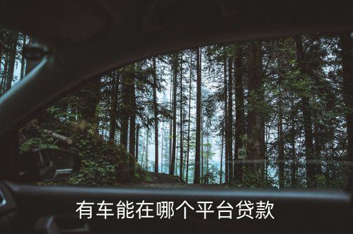 有車能在哪個(gè)平臺(tái)貸款