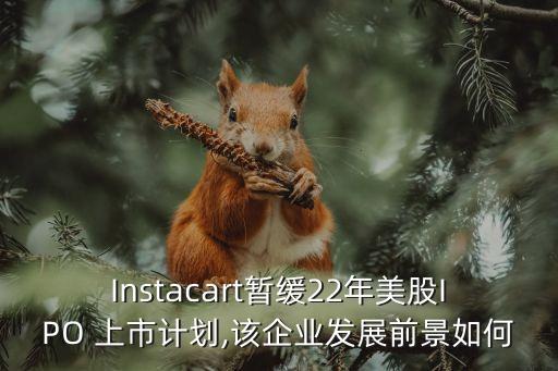 Instacart暫緩22年美股IPO 上市計劃,該企業(yè)發(fā)展前景如何