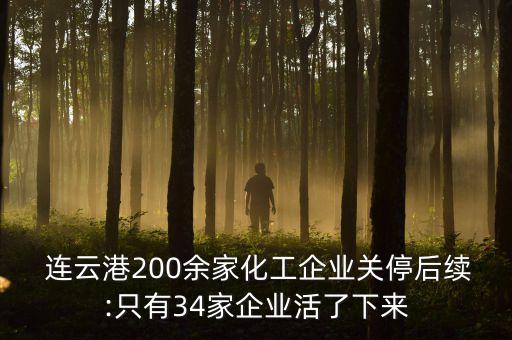  連云港200余家化工企業(yè)關(guān)停后續(xù):只有34家企業(yè)活了下來