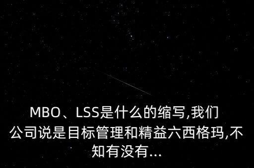 MBO、LSS是什么的縮寫,我們 公司說是目標(biāo)管理和精益六西格瑪,不知有沒有...