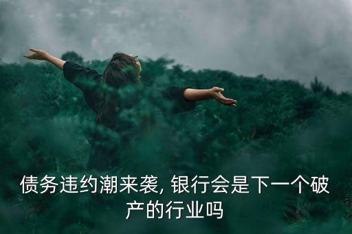 債務(wù)違約潮來襲, 銀行會(huì)是下一個(gè)破產(chǎn)的行業(yè)嗎