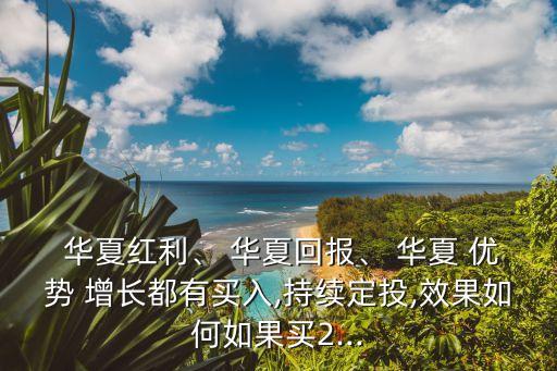  華夏紅利、 華夏回報(bào)、 華夏 優(yōu)勢(shì) 增長(zhǎng)都有買(mǎi)入,持續(xù)定投,效果如何如果買(mǎi)2...