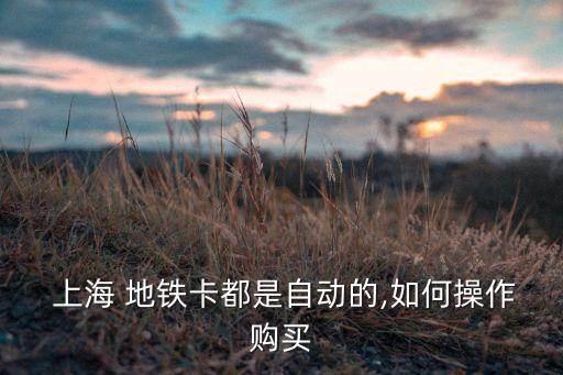  上海 地鐵卡都是自動(dòng)的,如何操作購(gòu)買(mǎi)