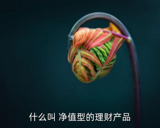 什么叫 凈值型的理財產(chǎn)品